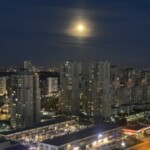 Profile picture of Admin